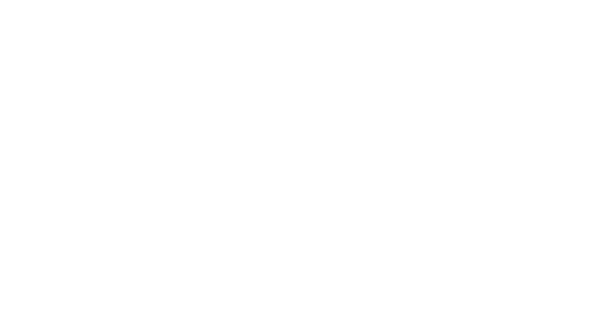 Artisan Cakes